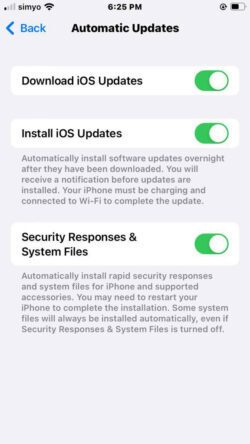 Rapid Security Responses aktiviert in iOS 16 (auch verfügbar für iPadOS und MacOS)